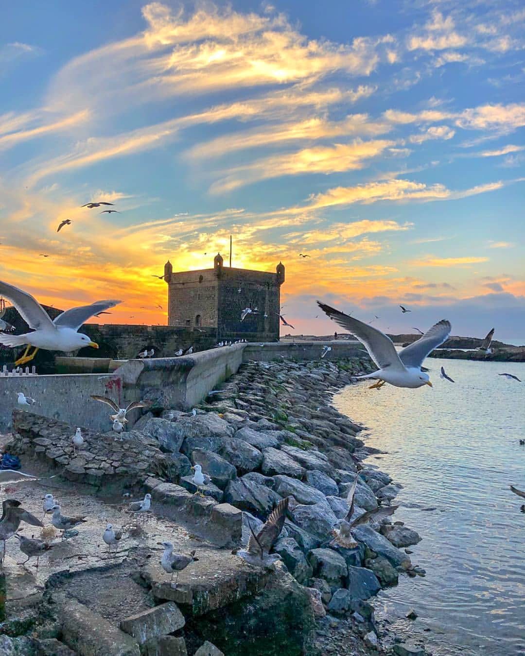 Discovery Tour To Essaouira from Marrakech