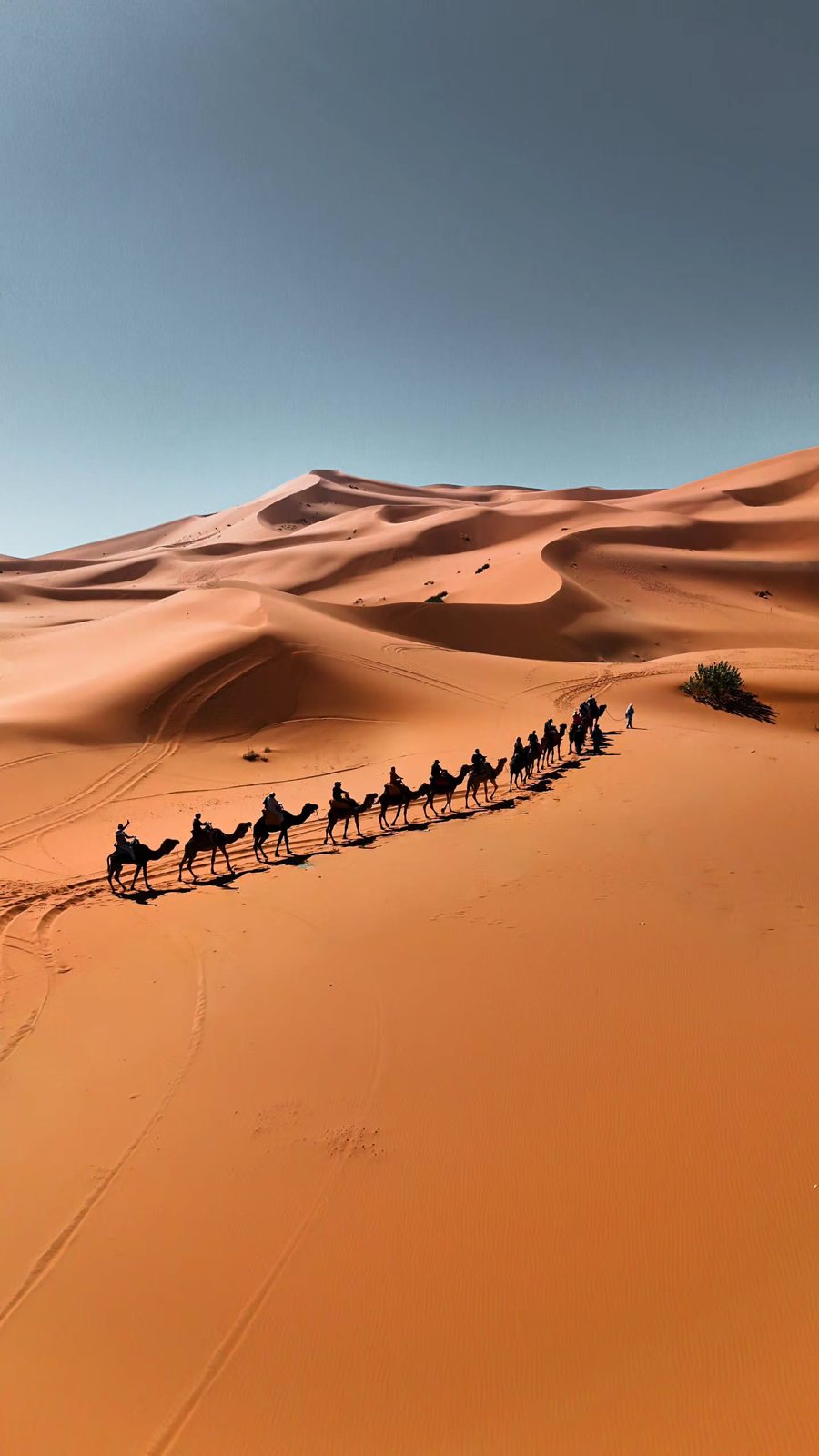2 Days Desert Tour from Marrakech to Zagora